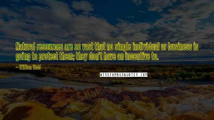 William Weld quotes: Natural resources are so vast that no single individual or business is going to protect them; they don't have an incentive to.