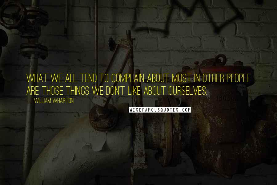 William Wharton quotes: What we all tend to complain about most in other people are those things we don't like about ourselves.