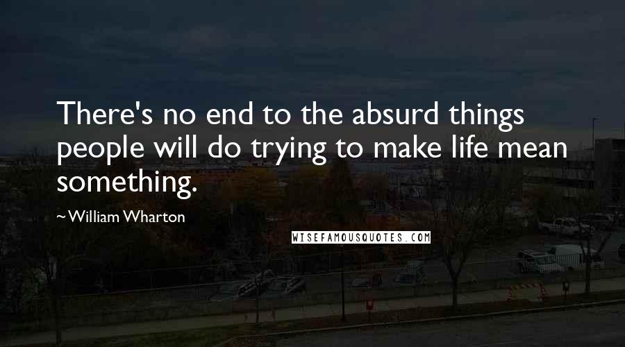 William Wharton quotes: There's no end to the absurd things people will do trying to make life mean something.