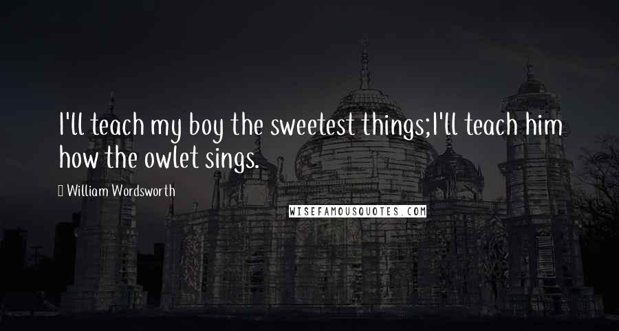 William Wordsworth quotes: I'll teach my boy the sweetest things;I'll teach him how the owlet sings.