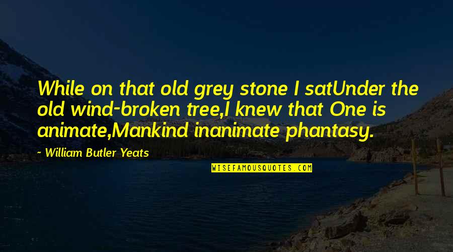 William Yeats Quotes By William Butler Yeats: While on that old grey stone I satUnder William Yeats Quotes By William Butler Yeats: While on that old grey stone I satUnder