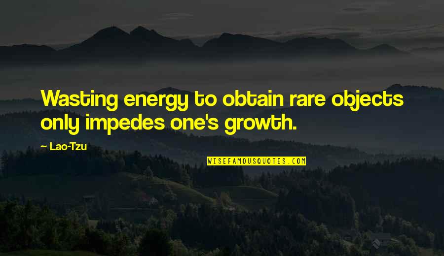 Willie Degel Quotes By Lao-Tzu: Wasting energy to obtain rare objects only impedes