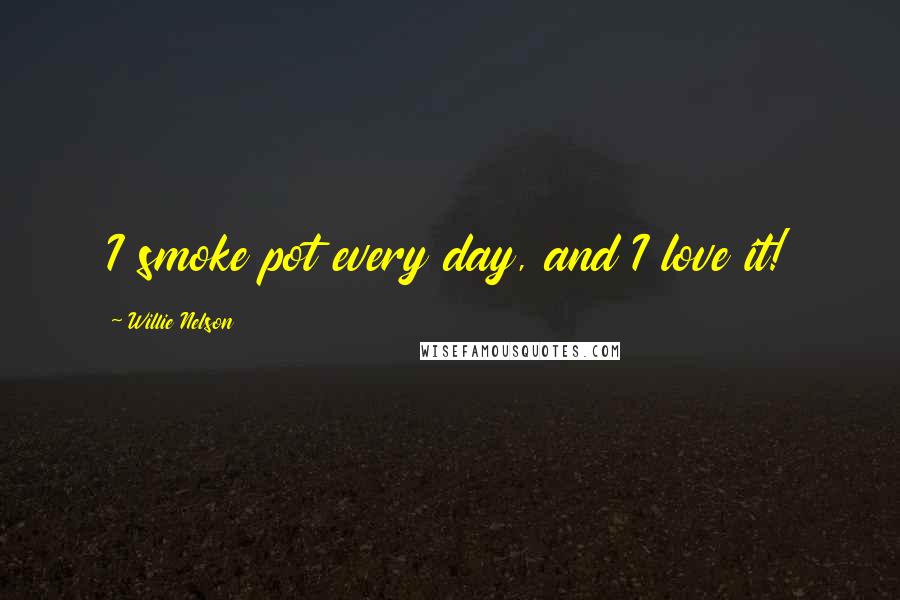Willie Nelson quotes: I smoke pot every day, and I love it!