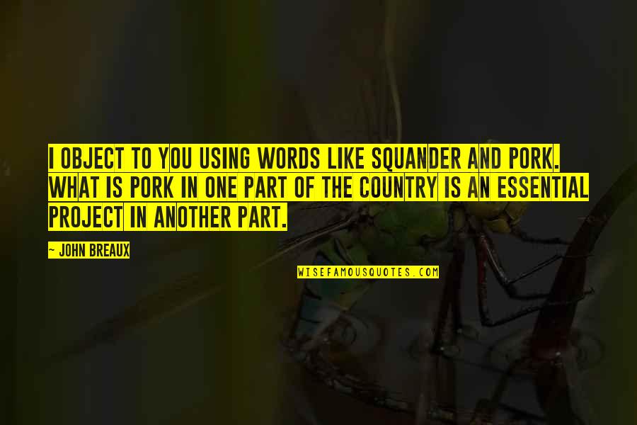 Willie Smits Quotes By John Breaux: I object to you using words like squander