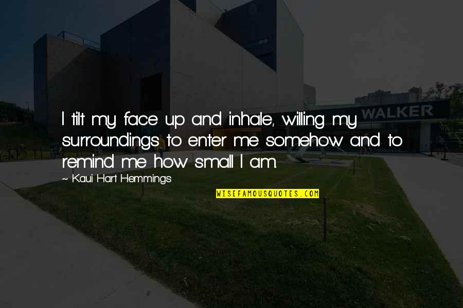 Willing Mind Quotes By Kaui Hart Hemmings: I tilt my face up and inhale, willing