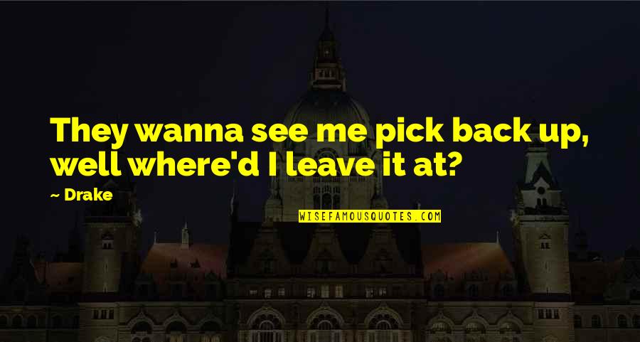 Willmar Mn Quotes By Drake: They wanna see me pick back up, well