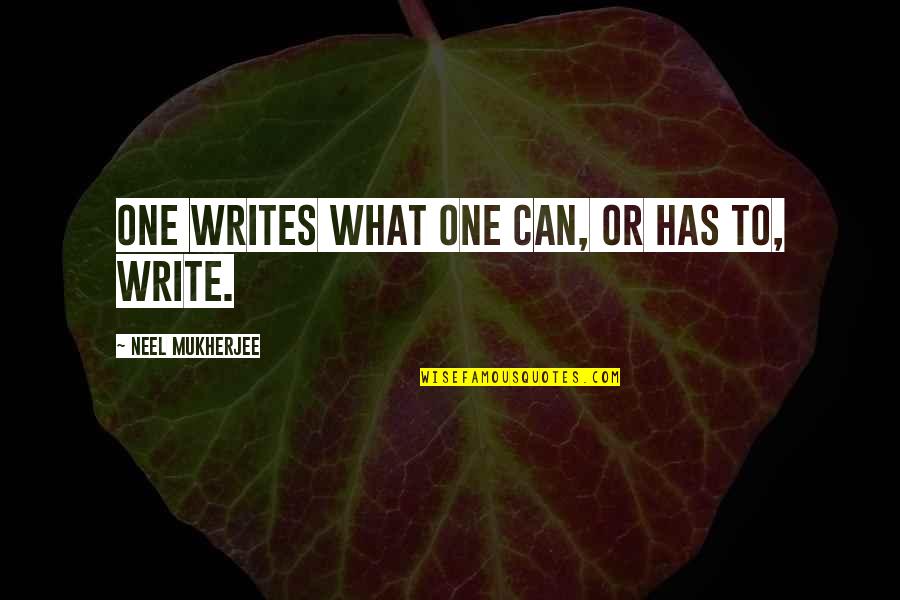 Willock Tactical Pen Quotes By Neel Mukherjee: One writes what one can, or has to,
