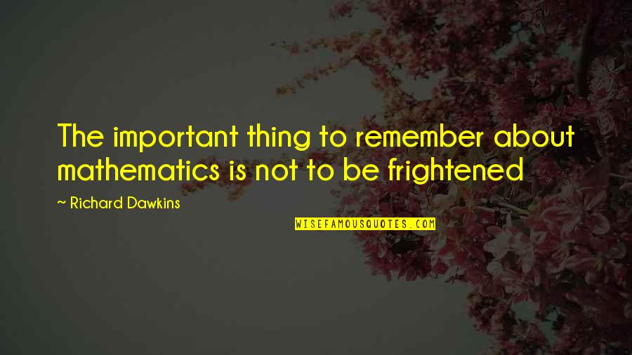 Willowes Quotes By Richard Dawkins: The important thing to remember about mathematics is