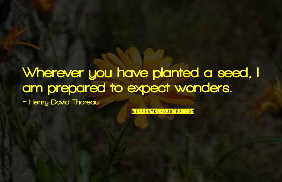 Willpowe Quotes By Henry David Thoreau: Wherever you have planted a seed, I am