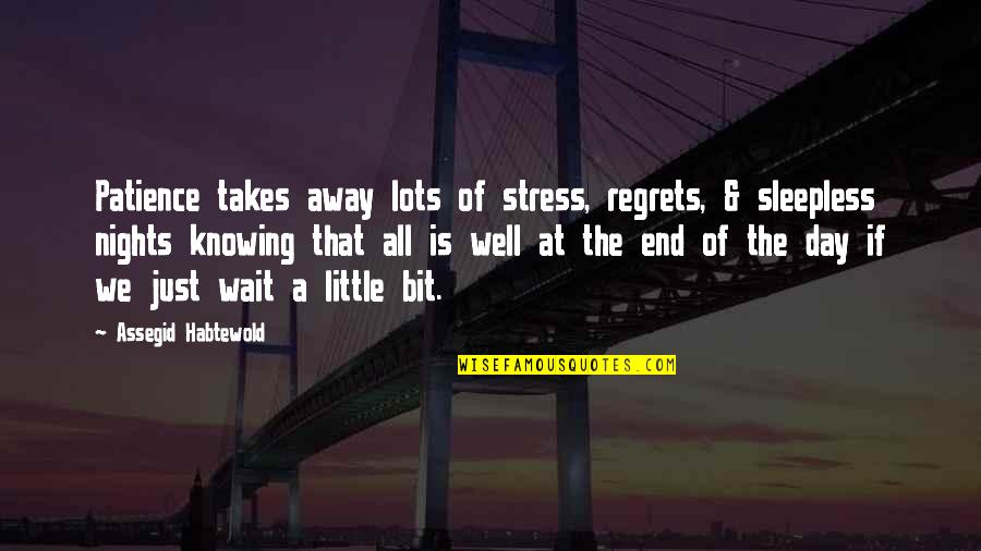 Wilmut's Quotes By Assegid Habtewold: Patience takes away lots of stress, regrets, &