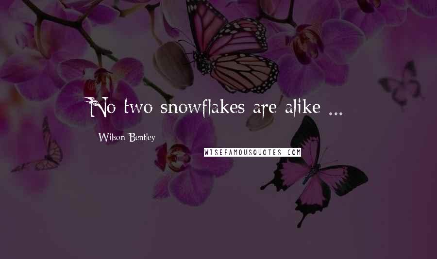 Wilson Bentley quotes: No two snowflakes are alike ...