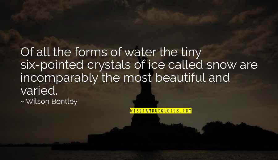 Wilson Bentley Quotes By Wilson Bentley: Of all the forms of water the tiny Wilson Bentley Quotes By Wilson Bentley: Of all the forms of water the tiny