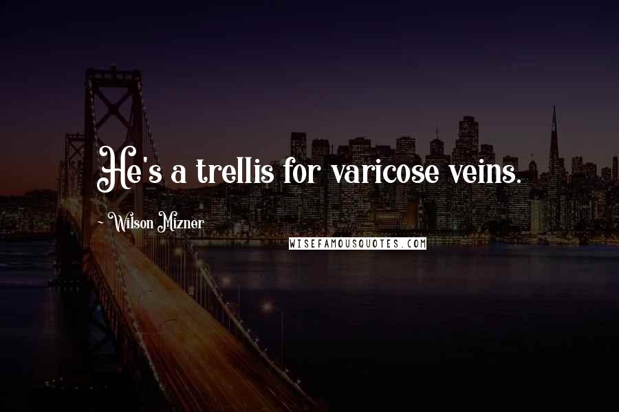 Wilson Mizner quotes: He's a trellis for varicose veins.