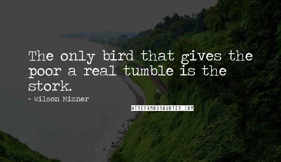 Wilson Mizner quotes: The only bird that gives the poor a real tumble is the stork.