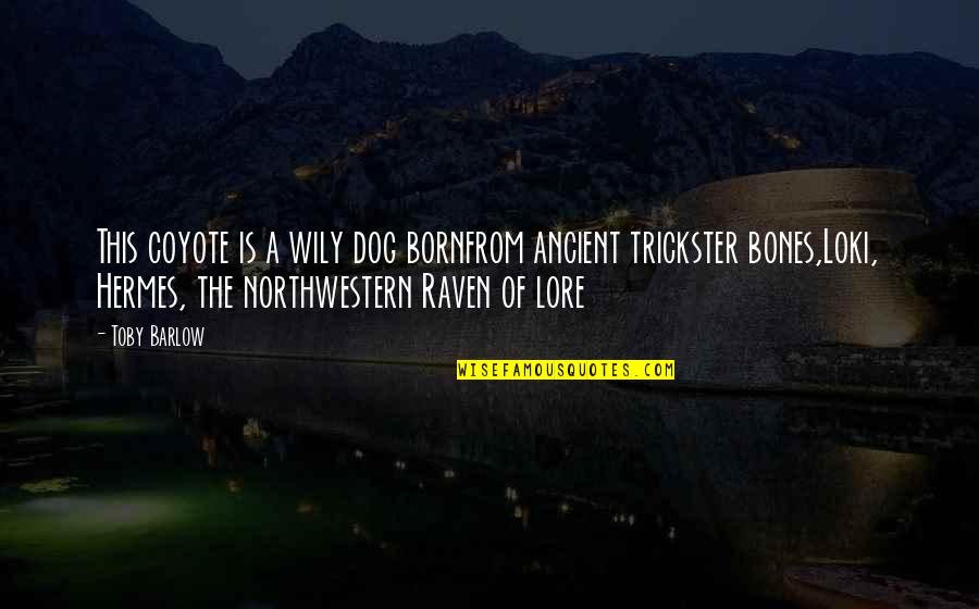 Wily Quotes By Toby Barlow: This coyote is a wily dog bornfrom ancient Wily Quotes By Toby Barlow: This coyote is a wily dog bornfrom ancient