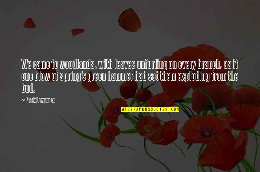 Wimmin Quotes By Mark Lawrence: We came to woodlands, with leaves unfurling on Wimmin Quotes By Mark Lawrence: We came to woodlands, with leaves unfurling on
