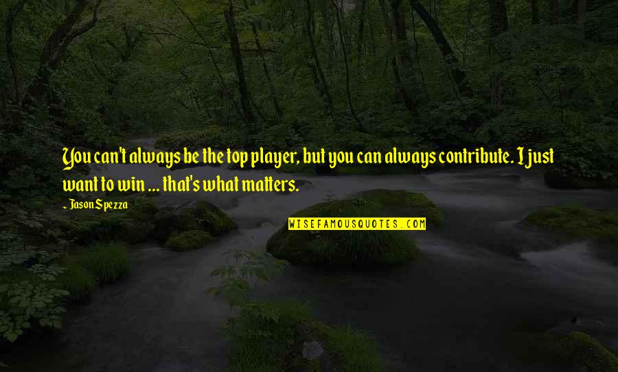 Win What Quotes By Jason Spezza: You can't always be the top player, but Win What Quotes By Jason Spezza: You can't always be the top player, but