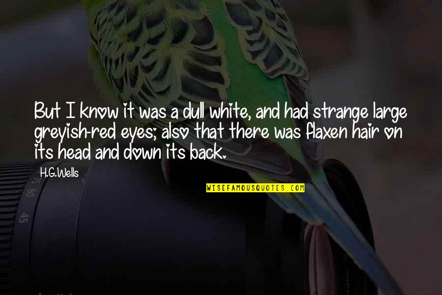 Wincent Quotes By H.G.Wells: But I know it was a dull white,