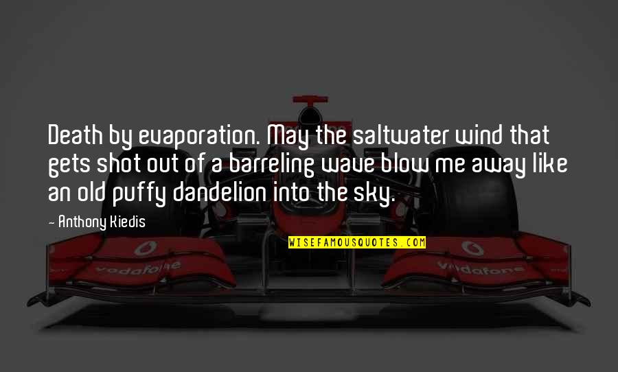 Wind And Death Quotes By Anthony Kiedis: Death by evaporation. May the saltwater wind that