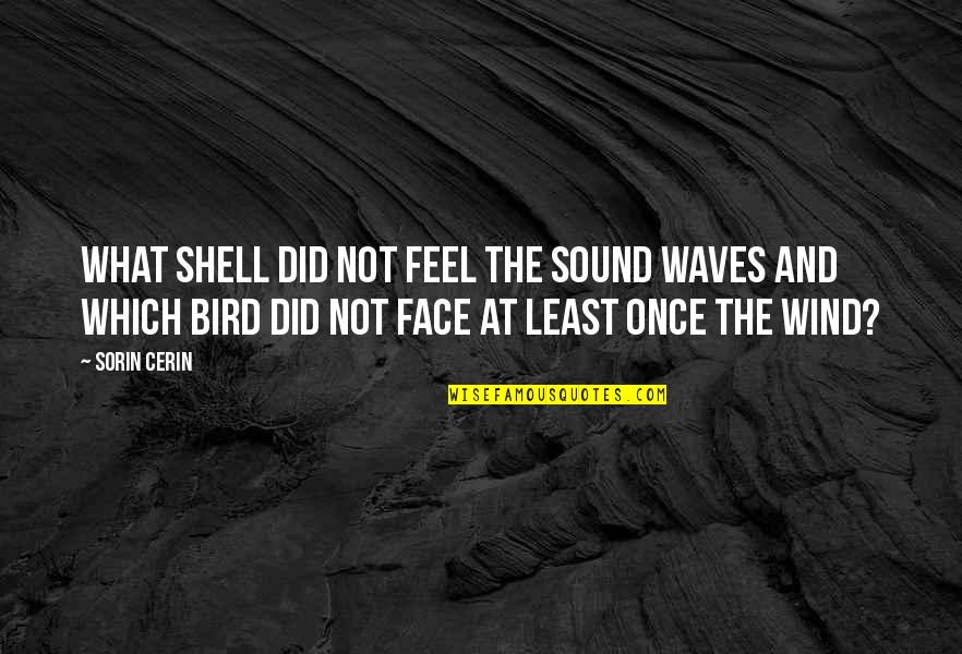 Wind And Waves Quotes By Sorin Cerin: What shell did not feel the sound waves