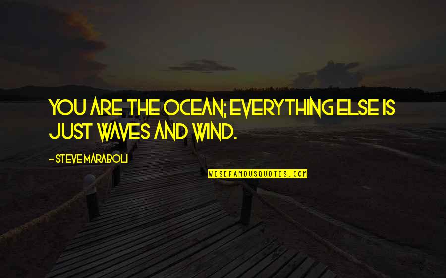 Wind And Waves Quotes By Steve Maraboli: You are the ocean; everything else is just