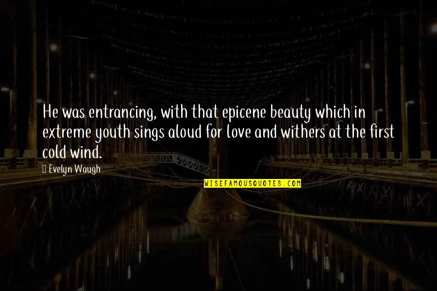 Wind Beauty Quotes By Evelyn Waugh: He was entrancing, with that epicene beauty which Wind Beauty Quotes By Evelyn Waugh: He was entrancing, with that epicene beauty which