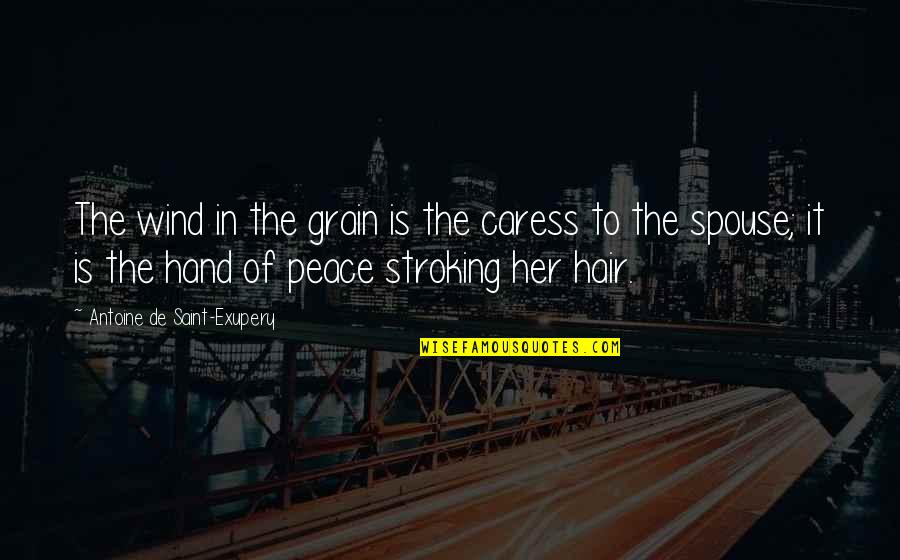 Wind In Her Hair Quotes By Antoine De Saint-Exupery: The wind in the grain is the caress