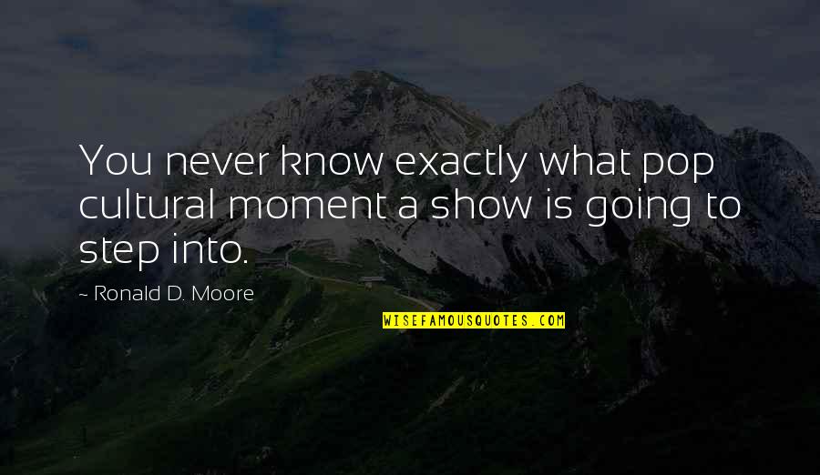Wind In The Willows Christmas Quotes By Ronald D. Moore: You never know exactly what pop cultural moment