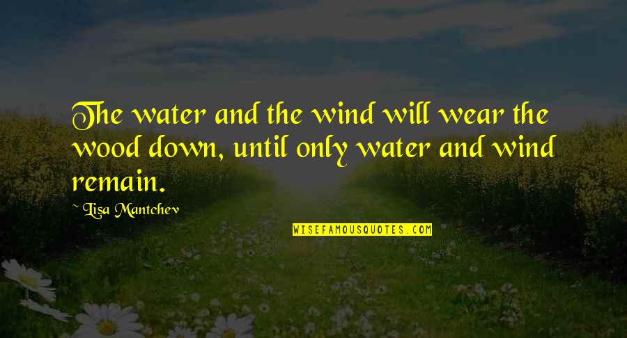 Wind Water Quotes By Lisa Mantchev: The water and the wind will wear the