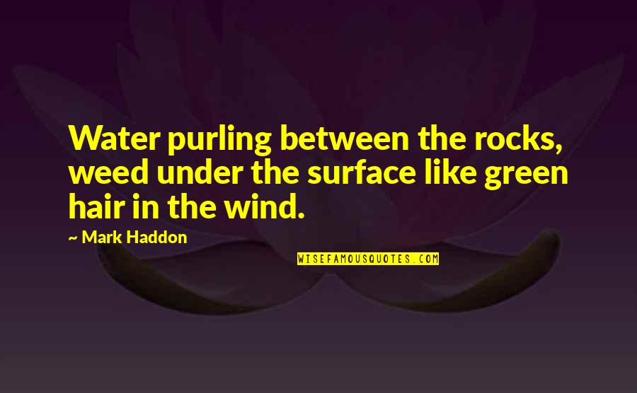 Wind Water Quotes By Mark Haddon: Water purling between the rocks, weed under the