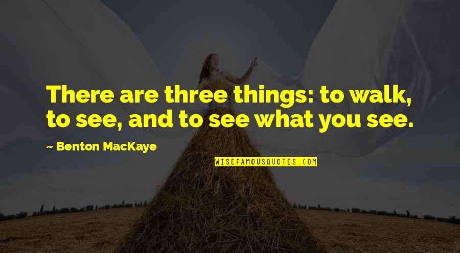 Windell Middlebrooks Quotes By Benton MacKaye: There are three things: to walk, to see, Windell Middlebrooks Quotes By Benton MacKaye: There are three things: to walk, to see,