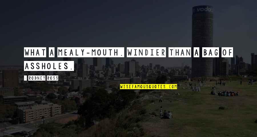 Windier Than Quotes By Rodney Ross: What a mealy-mouth. Windier than a bag of