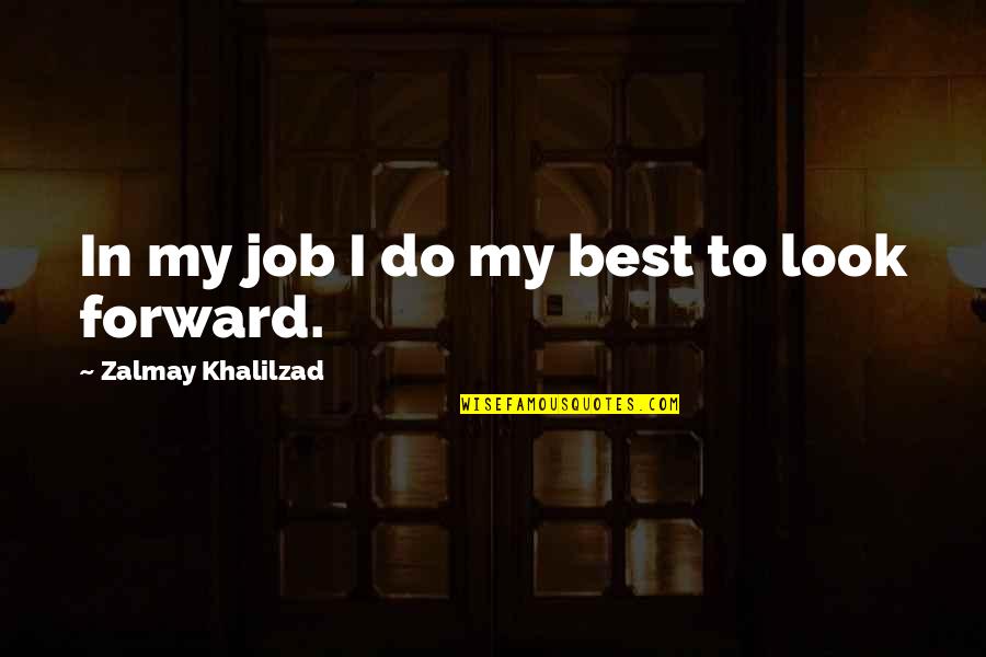 Windlestrae Quotes By Zalmay Khalilzad: In my job I do my best to