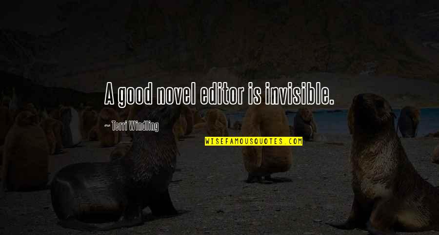 Windling Quotes By Terri Windling: A good novel editor is invisible.