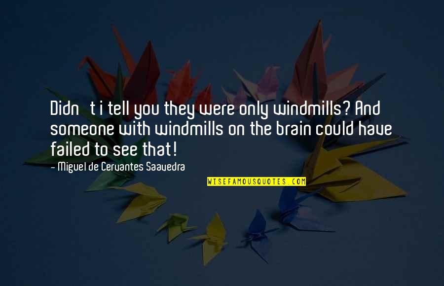 Windmills Quotes By Miguel De Cervantes Saavedra: Didn't i tell you they were only windmills?