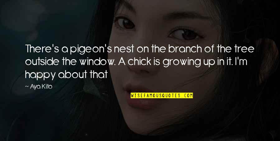 Window Happy Quotes By Aya Kito: There's a pigeon's nest on the branch of