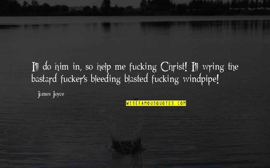 Windpipe Quotes By James Joyce: I'll do him in, so help me fucking