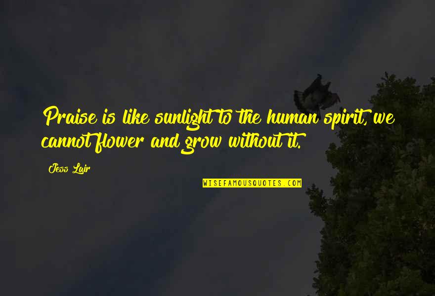 Windridge Memorial Park Quotes By Jess Lair: Praise is like sunlight to the human spirit,