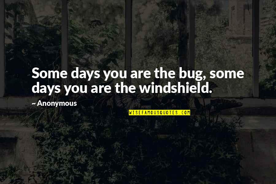 Windshield Bug Quotes By Anonymous: Some days you are the bug, some days