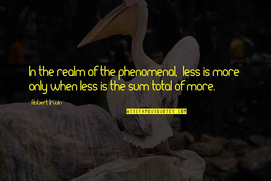 Windslayer Quotes By Robert Irwin: In the realm of the phenomenal, "less is