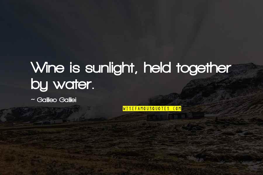 Wine Galileo Quotes By Galileo Galilei: Wine is sunlight, held together by water.