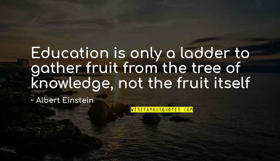 Wineskin Mac Quotes By Albert Einstein: Education is only a ladder to gather fruit Wineskin Mac Quotes By Albert Einstein: Education is only a ladder to gather fruit