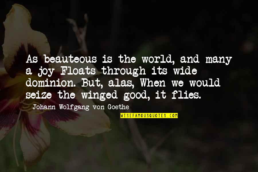 Winged Quotes By Johann Wolfgang Von Goethe: As beauteous is the world, and many a