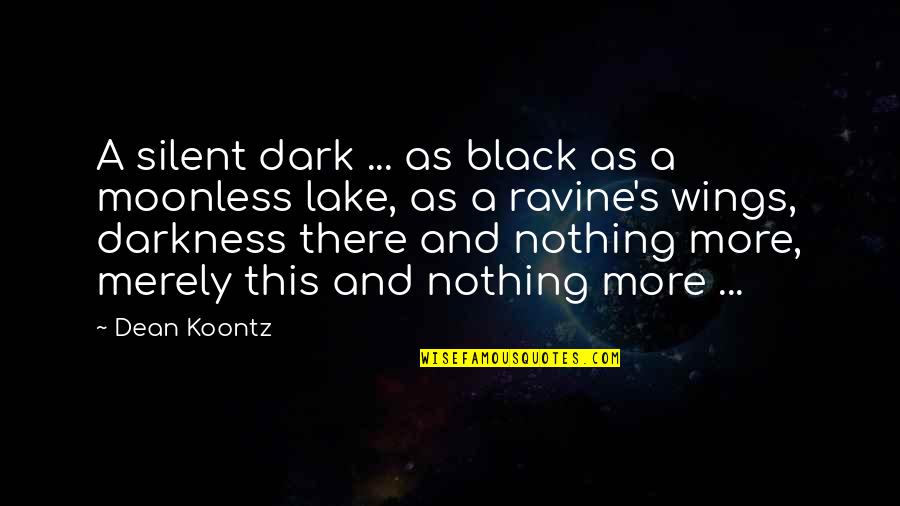 Wings Black Quotes By Dean Koontz: A silent dark ... as black as a
