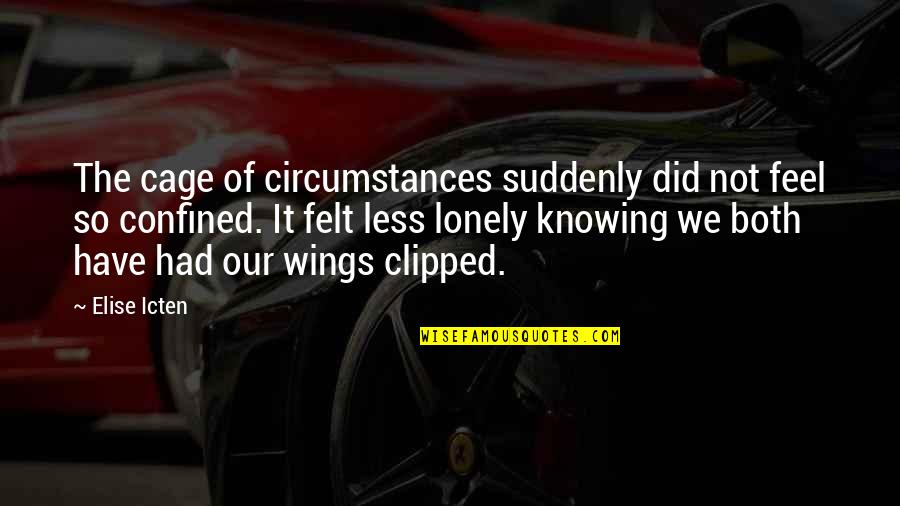 Wings Love Quotes By Elise Icten: The cage of circumstances suddenly did not feel