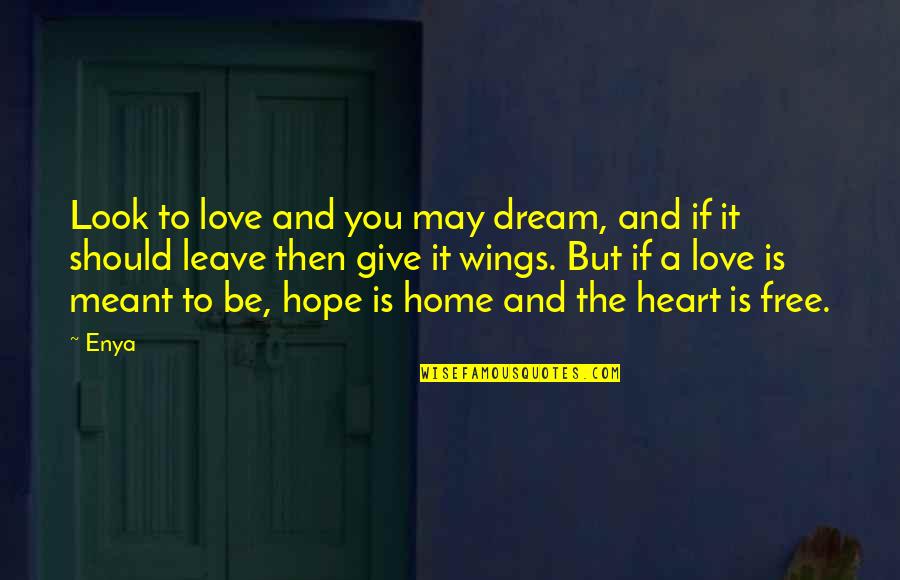 Wings Love Quotes By Enya: Look to love and you may dream, and