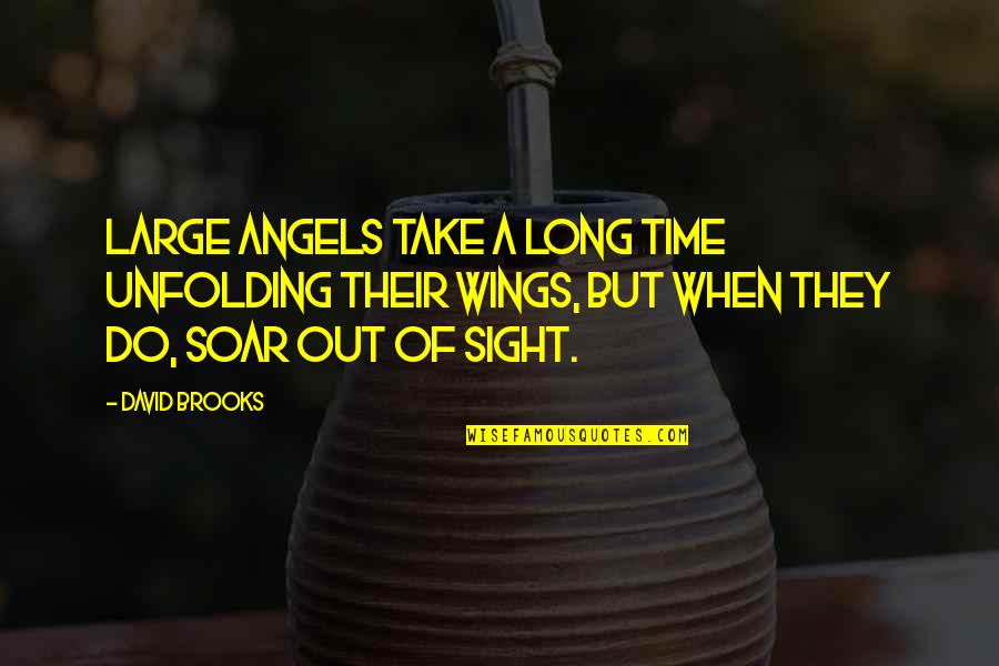 Wings Of Angels Quotes By David Brooks: Large angels take a long time unfolding their