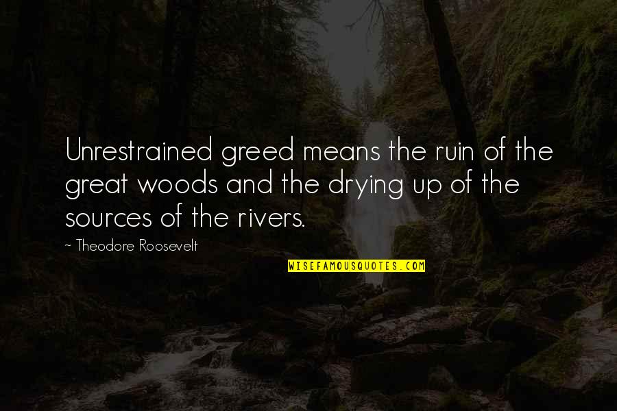 Wings Of Fire Book 1 Quotes By Theodore Roosevelt: Unrestrained greed means the ruin of the great