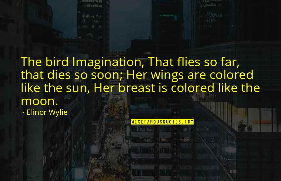 Wings Of Imagination Quotes By Elinor Wylie: The bird Imagination, That flies so far, that