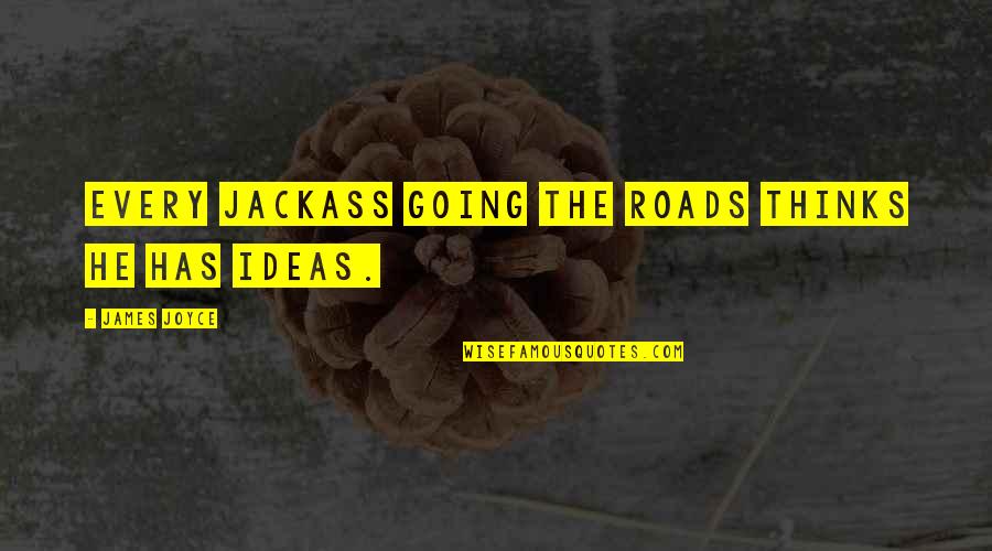 Wingtips Airplanes Quotes By James Joyce: Every jackass going the roads thinks he has Wingtips Airplanes Quotes By James Joyce: Every jackass going the roads thinks he has